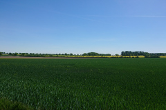 IMG_20250511_143057