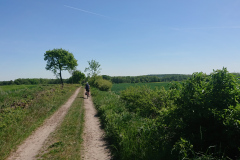 IMG_20250511_145751