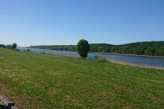 IMG_20250511_164740