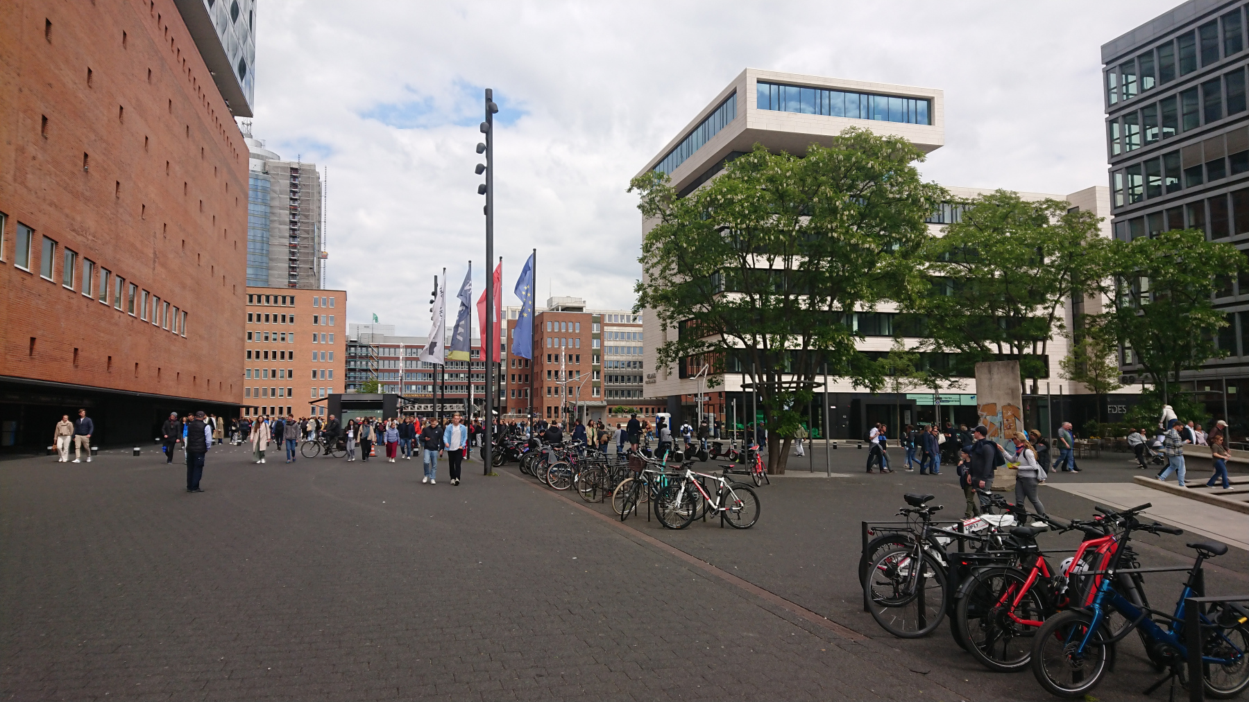 IMG_20250517_122831