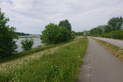 IMG_20250517_102750