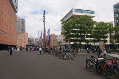 IMG_20250517_122831