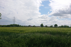 IMG_20250517_134902