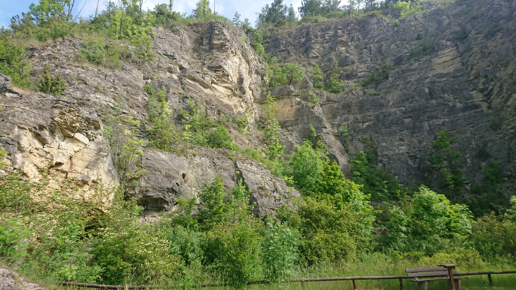 IMG_20250527_100417