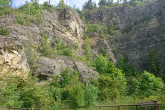 IMG_20250527_100417