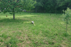 IMG_20250527_100907