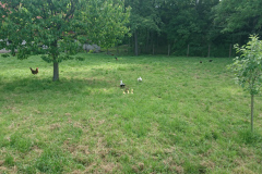 IMG_20250527_100911