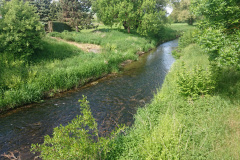 IMG_20250527_102031