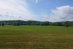 IMG_20250527_102934