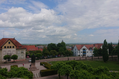 IMG_20250527_114722