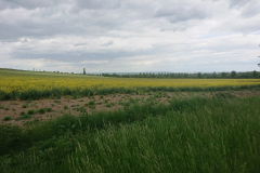 IMG_20250527_133833