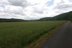 IMG_20250527_144440