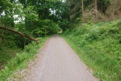 IMG_20250527_153714