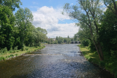 IMG_20250528_130600
