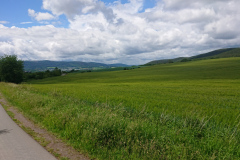 IMG_20250528_132312
