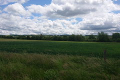 IMG_20250528_133747
