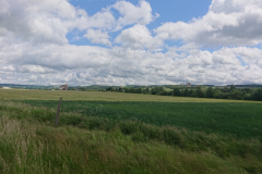 IMG_20250528_133752