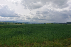 IMG_20250528_145157