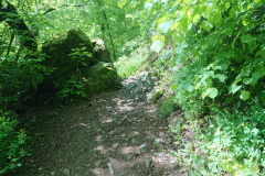 IMG_20250529_110201