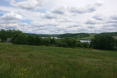 IMG_20250529_134217