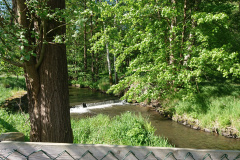 IMG_20250530_093713