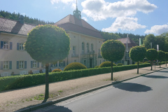 IMG_20250530_094806