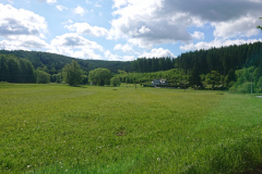IMG_20250530_095410