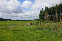 IMG_20250530_104604