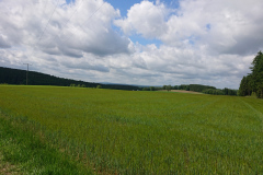 IMG_20250530_104609