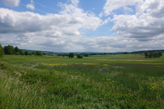 IMG_20250530_121341