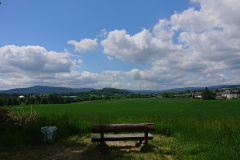 IMG_20250530_123908