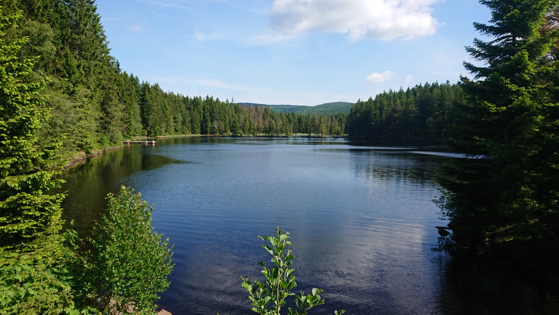 IMG_20250531_095142