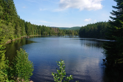 IMG_20250531_095142