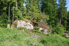 IMG_20250531_100339