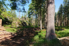 IMG_20250531_100803