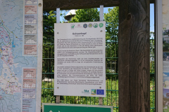IMG_20250531_101708