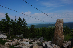 IMG_20250531_102312