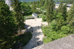 IMG_20250531_103346