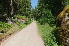 IMG_20250531_110808