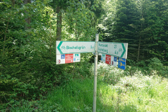 IMG_20250531_111251