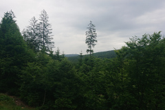 IMG_20250601_092130