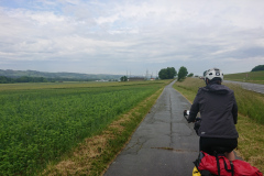 IMG_20250601_100050