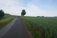 IMG_20250601_111247
