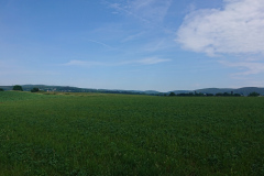 IMG_20250601_111850