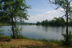 IMG_20250601_113917
