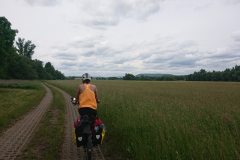 IMG_20250601_141353