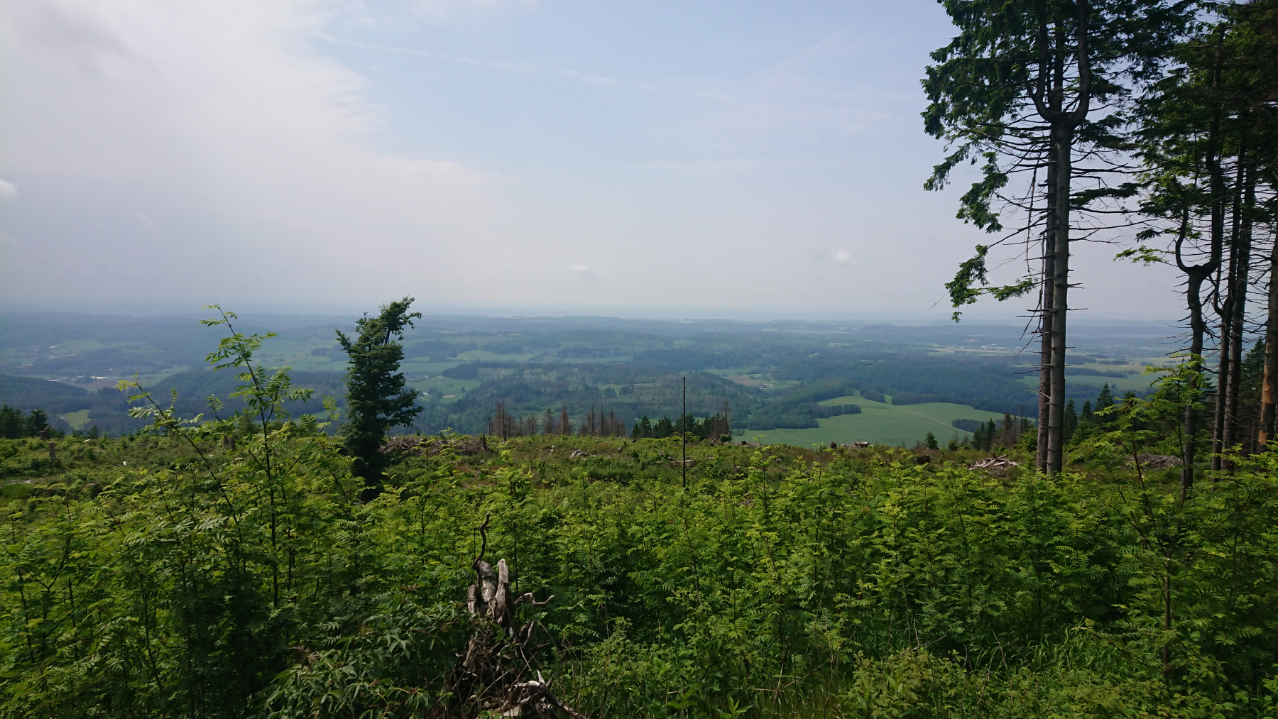 IMG_20250602_122224
