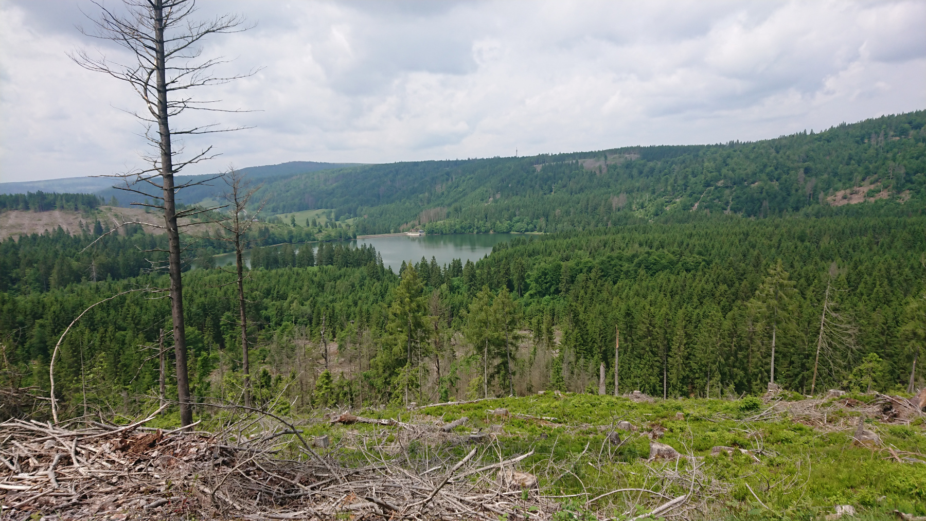 IMG_20250602_130221