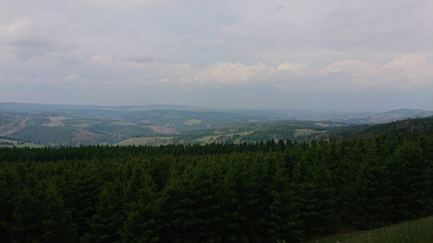 IMG_20250602_150348