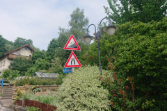 IMG_20250602_101309